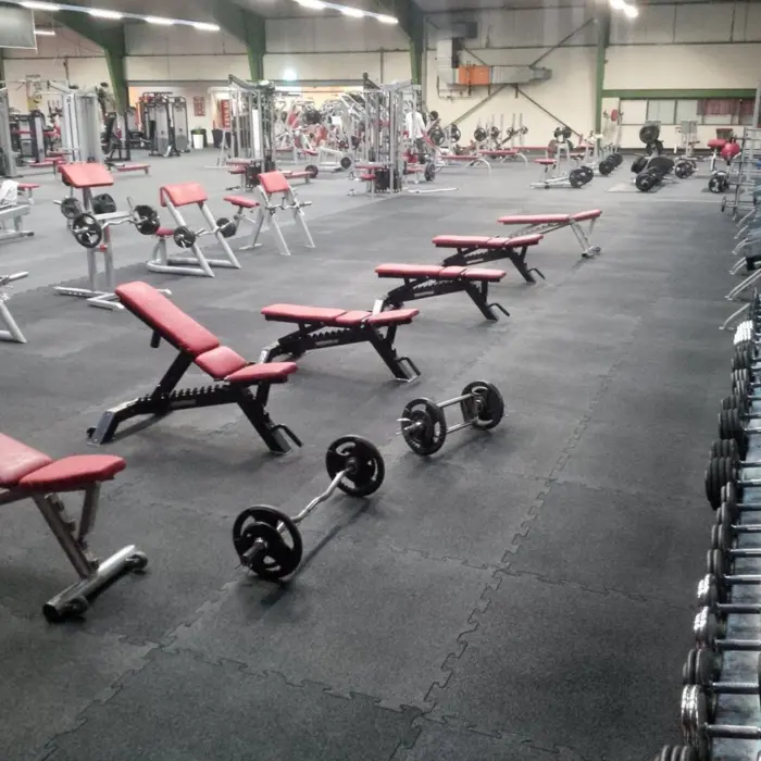Palestra