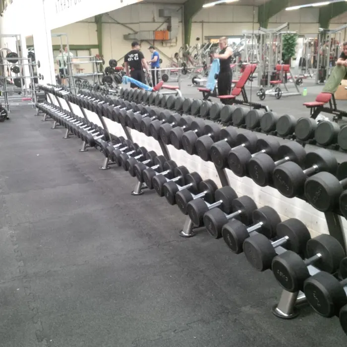 Palestra