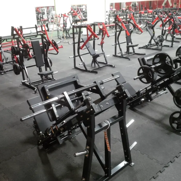 Palestra